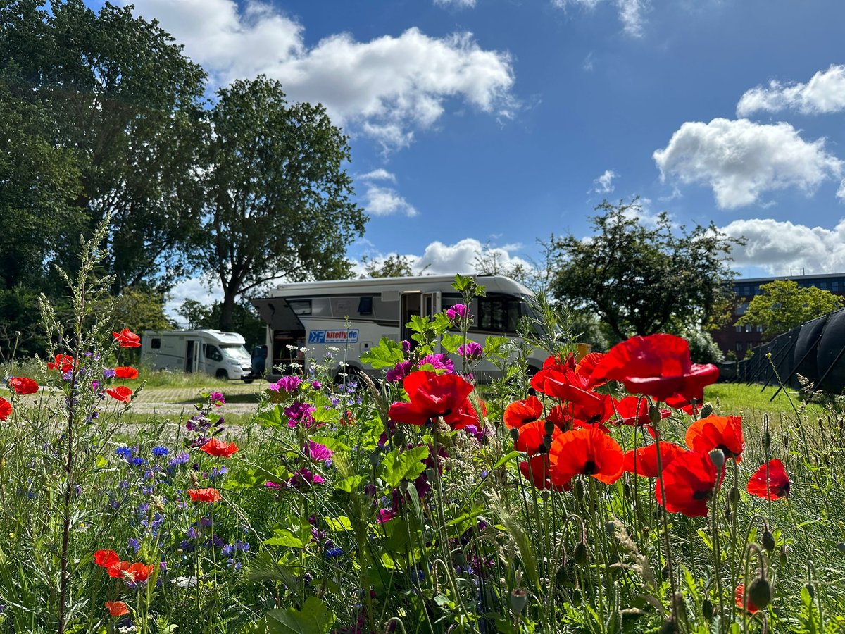 UrbanCamperSpot_Haarlem-Zandvoort_21